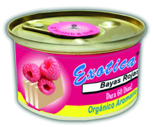 Red Berries Organic Can